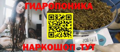 мдпв Абакан