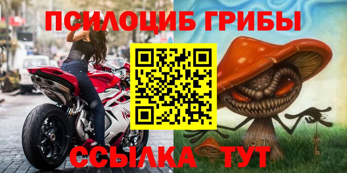 Псилоцибиновые грибы Psilocybe  Псилоцибиновые грибы Cubensis  Вход с VPN  Алейск 