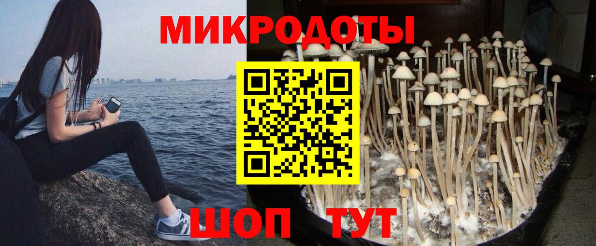 Галлюциногенные грибы ЛСД Алейск